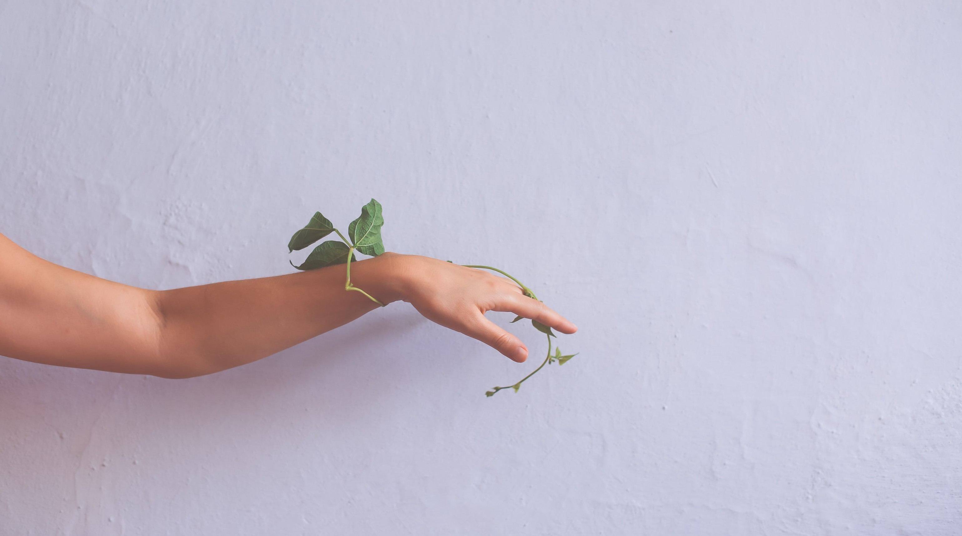 Aesthetics of minimalism in photography